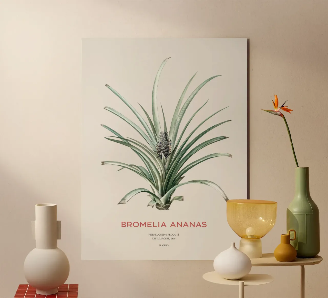 Pineapple or Bromelia ananas alu-dibond by Vintagrafica