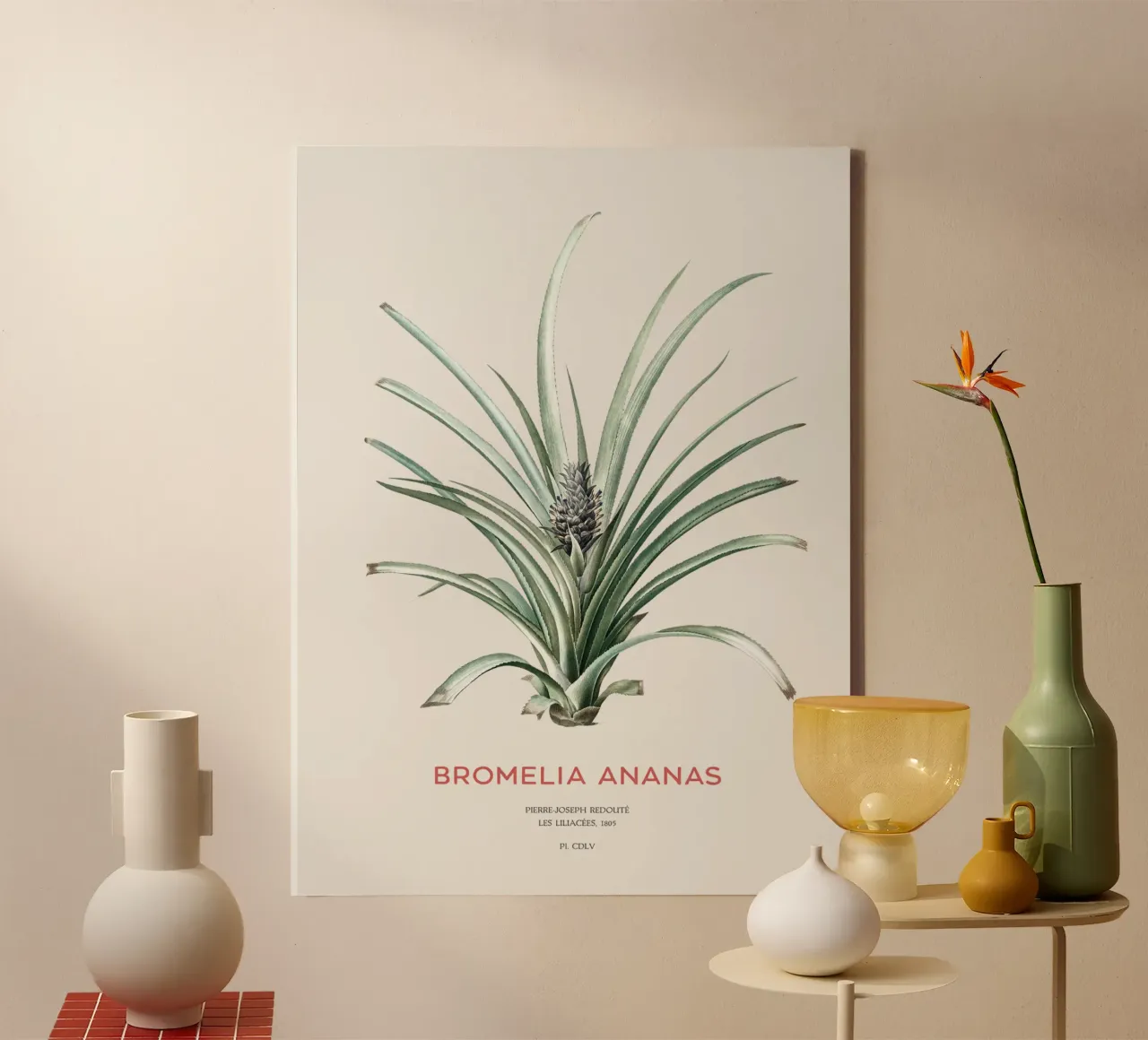 Pineapple or Bromelia ananas canvas by Vintagrafica