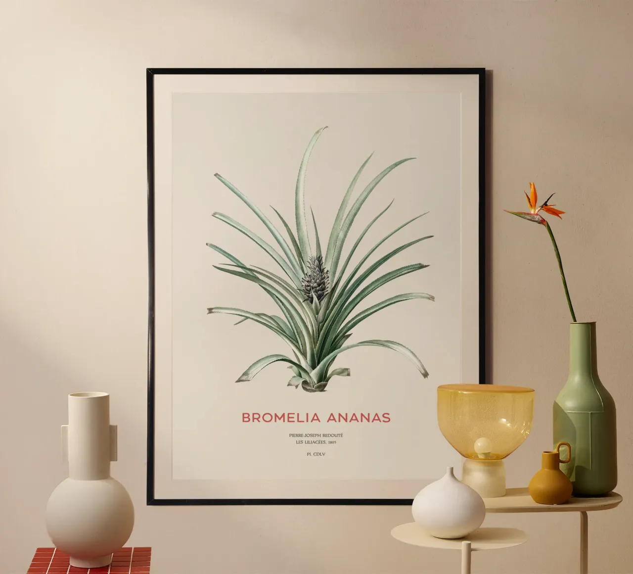 Ananas oder Bromelia ananas Hahnemühle von Vintagrafica