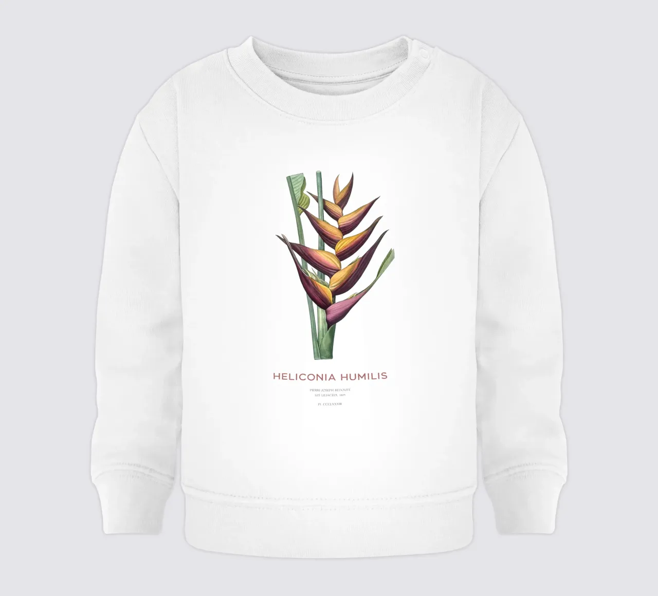 Fiore di parrocchetto o Heliconia humilis felpa neonato da Vintagrafica