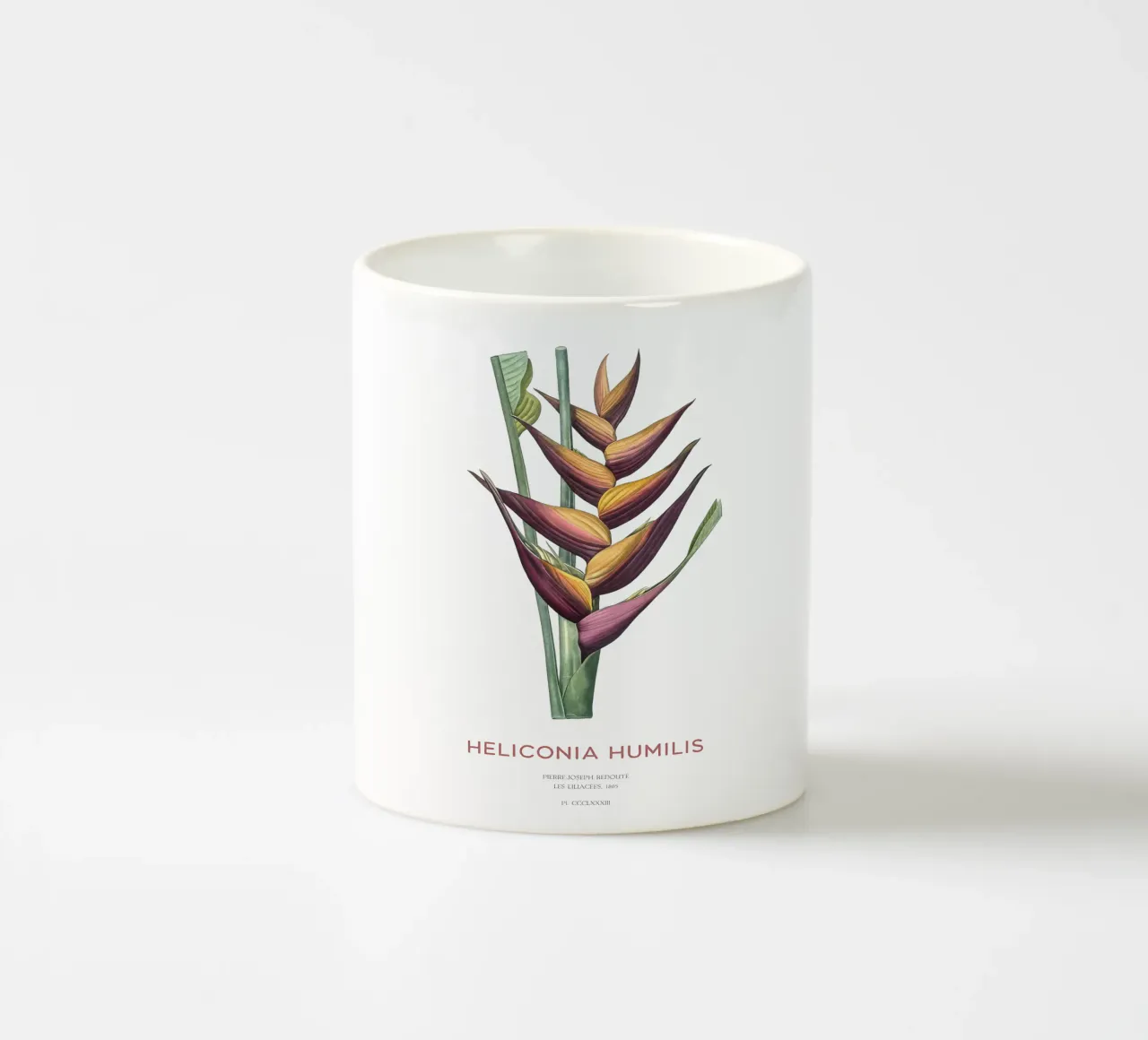 Fiore di parrocchetto o Heliconia humilis tazza in ceramica da Vintagrafica