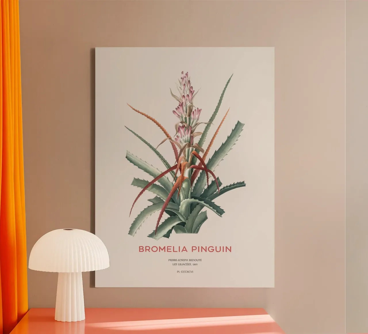 Wilde Ananas oder Bromelia pinguin Leinwand mit Schattenfugenrahmen von Vintagrafica