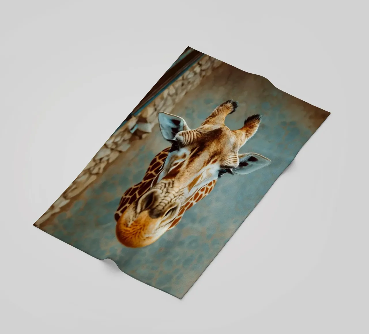 Giraffa che guarda verso l'alto telo mare da Lisa Artifexia