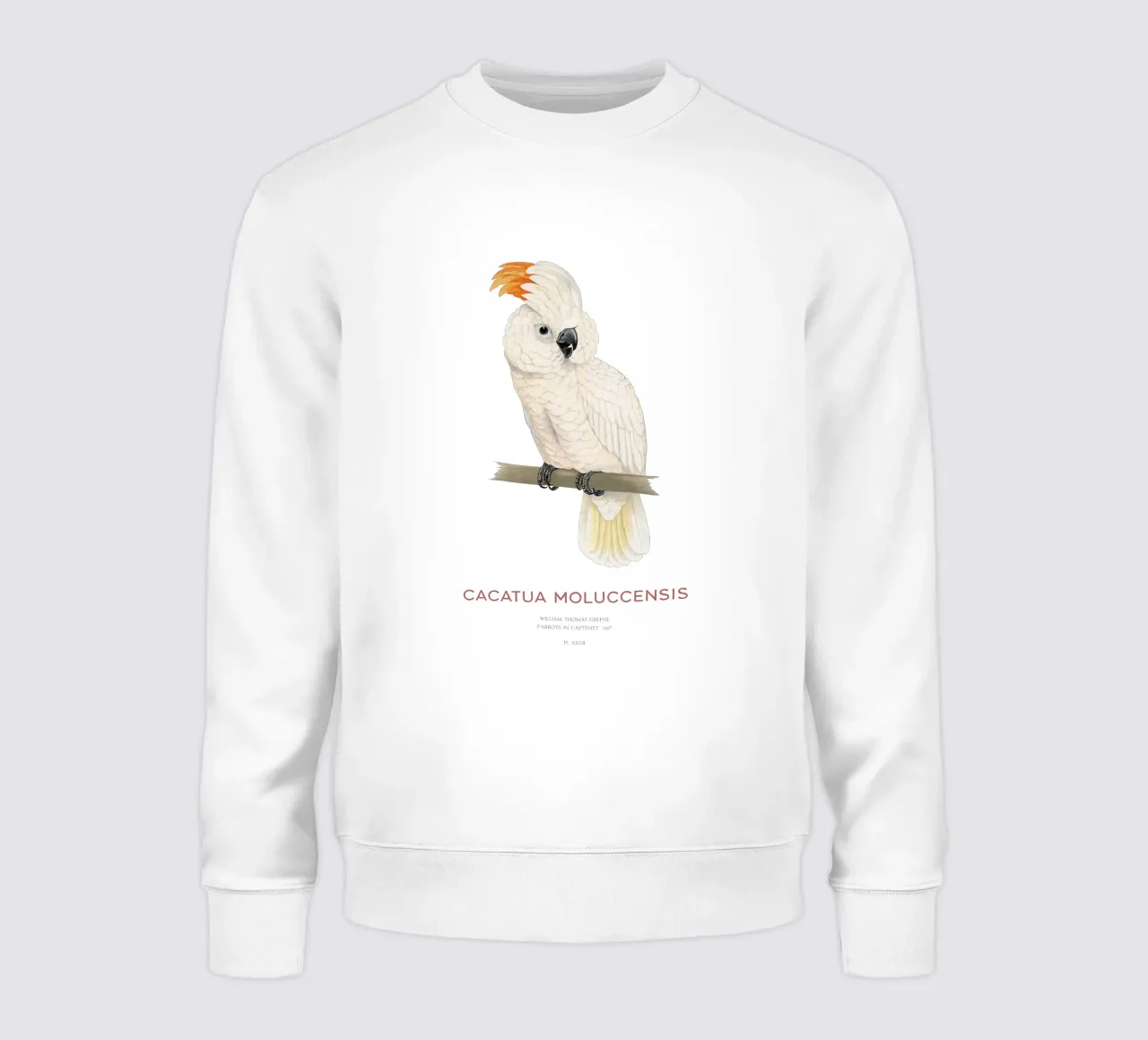 Moluccan cockatoo or Cacatua moluccensis felpa da Vintagrafica