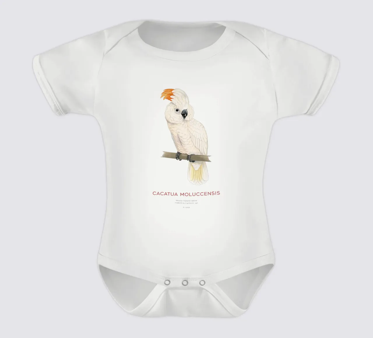 Molukkenkakadu oder Cacatua moluccensis Kurzarm Babybody von Vintagrafica