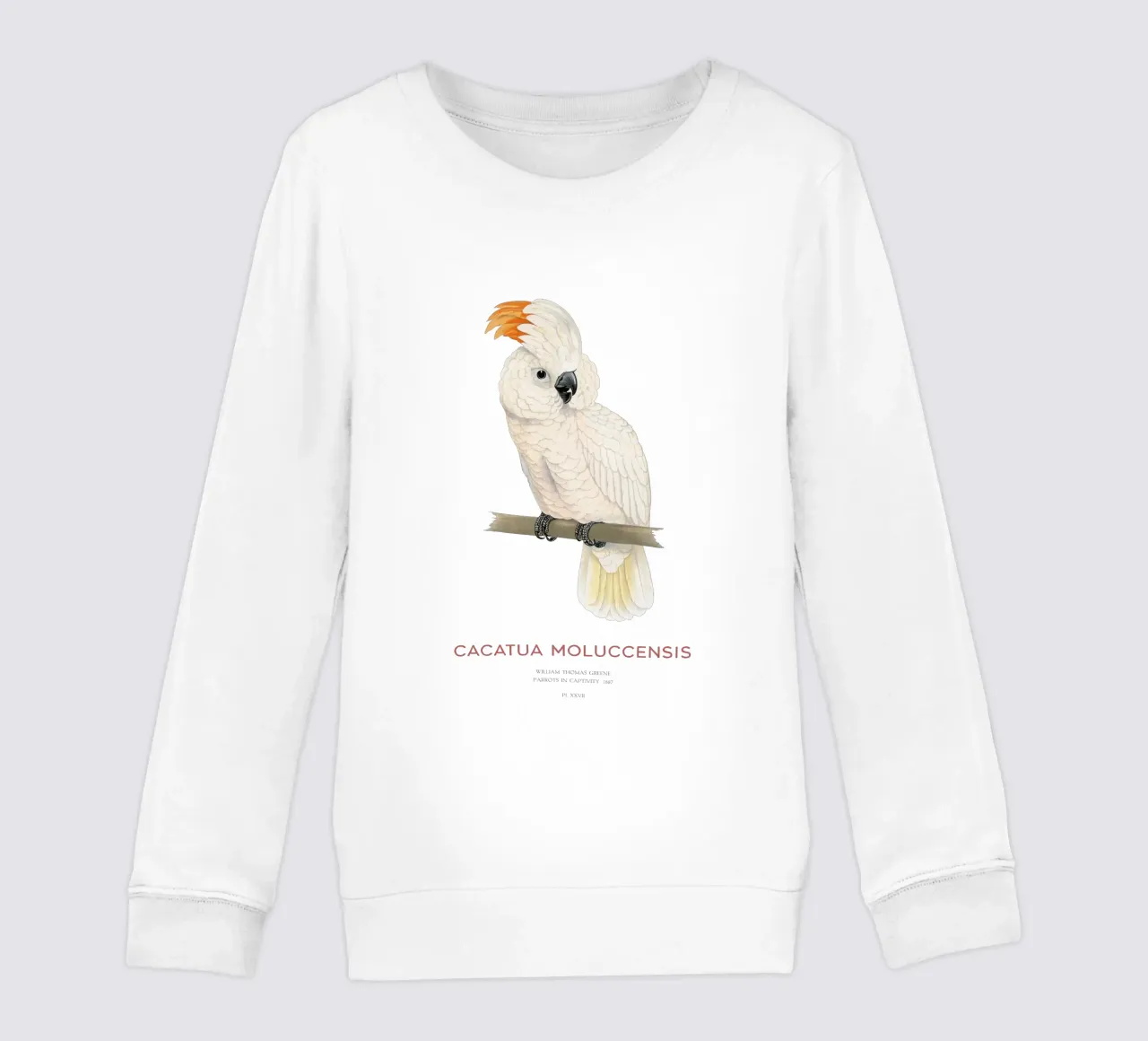 Moluccan cockatoo or Cacatua moluccensis felpa bambino da Vintagrafica