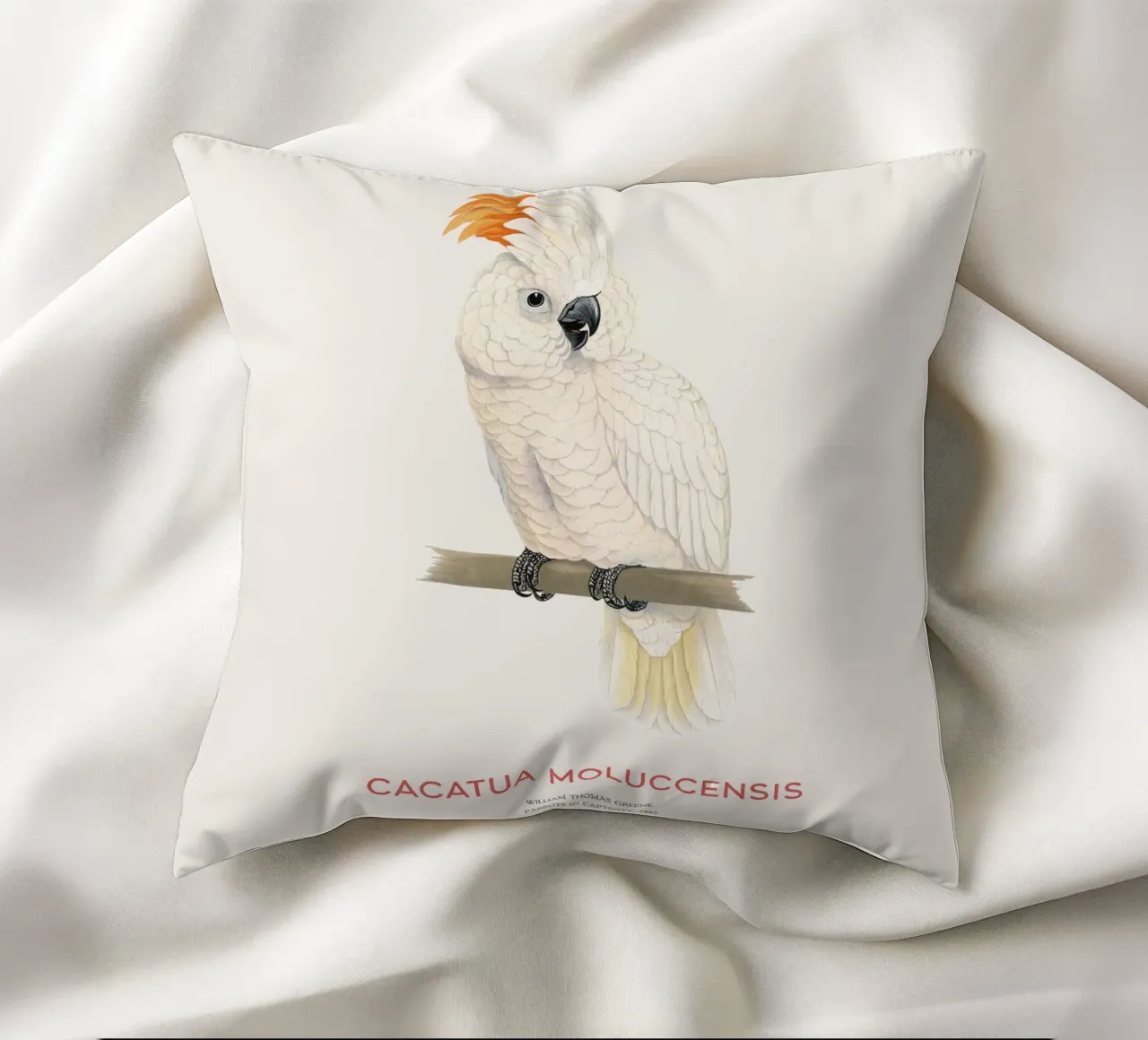 Moluccan cockatoo or Cacatua moluccensis cuscino da Vintagrafica