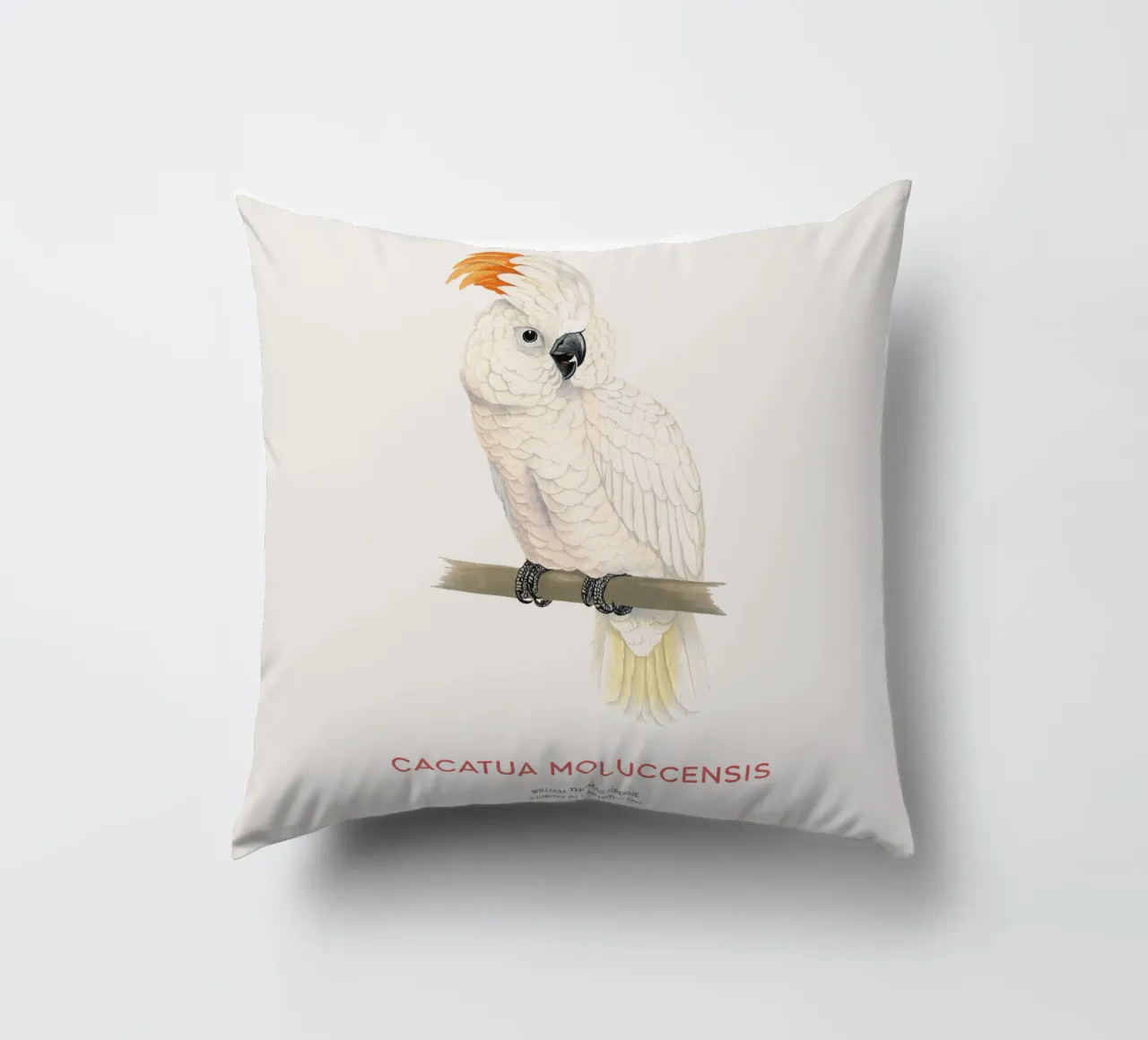 Moluccan cockatoo or Cacatua moluccensis cuscino da Vintagrafica