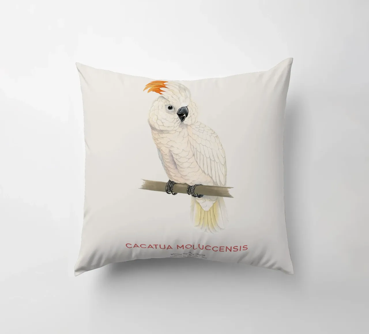 Moluccan cockatoo or Cacatua moluccensis cuscino da Vintagrafica