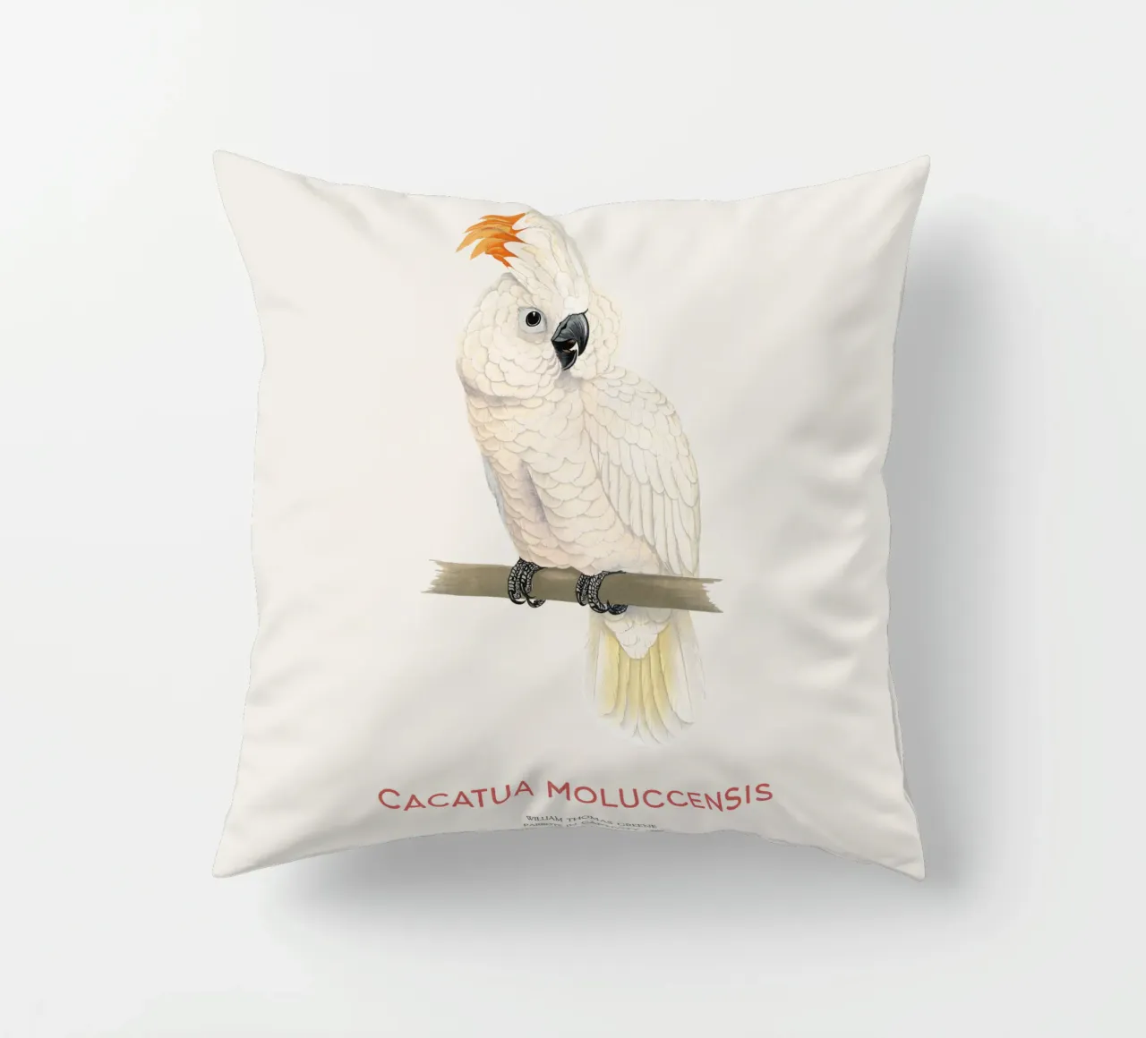 Moluccan cockatoo or Cacatua moluccensis cuscino da Vintagrafica