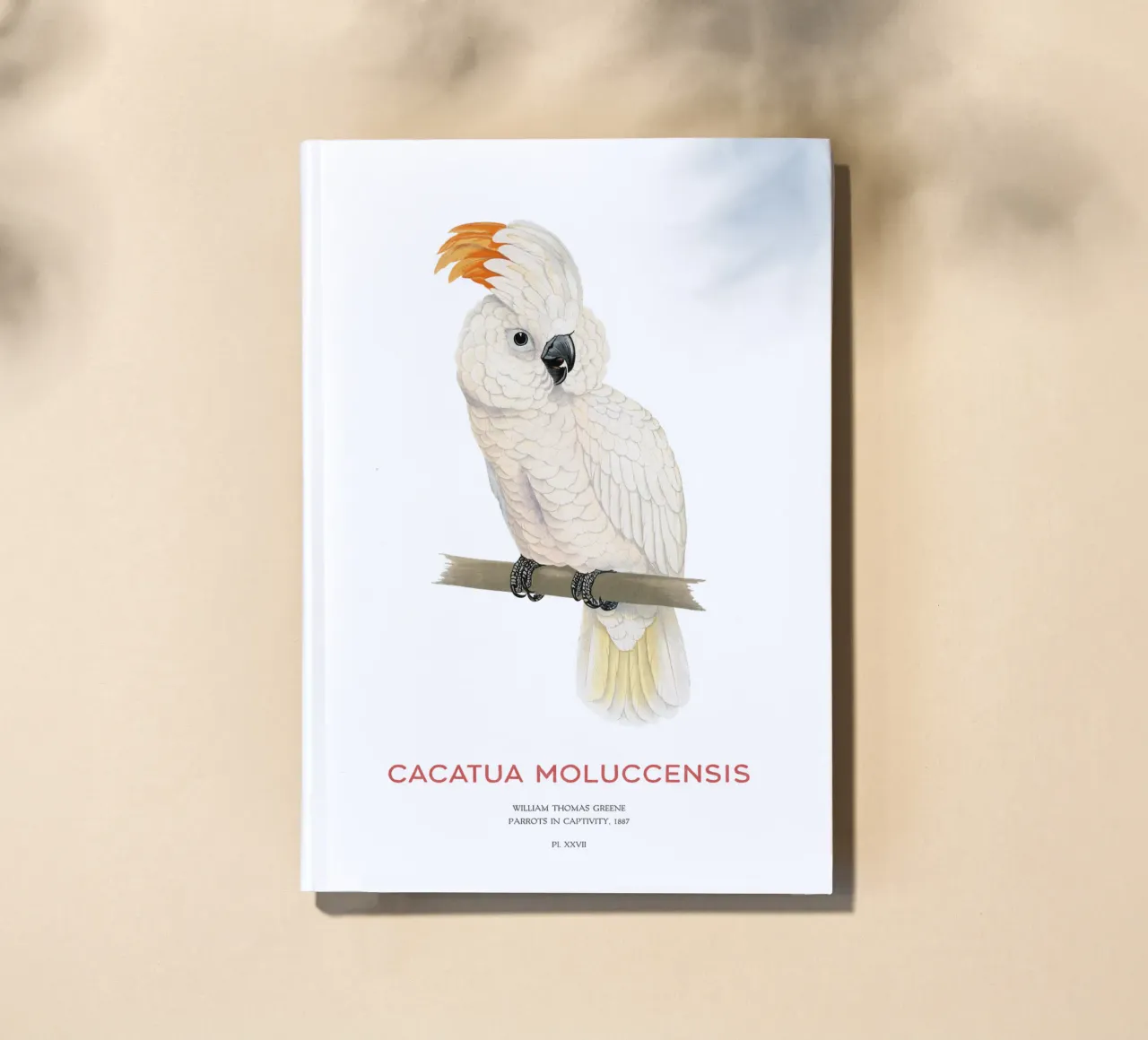 Moluccan cockatoo or Cacatua moluccensis notebook by Vintagrafica
