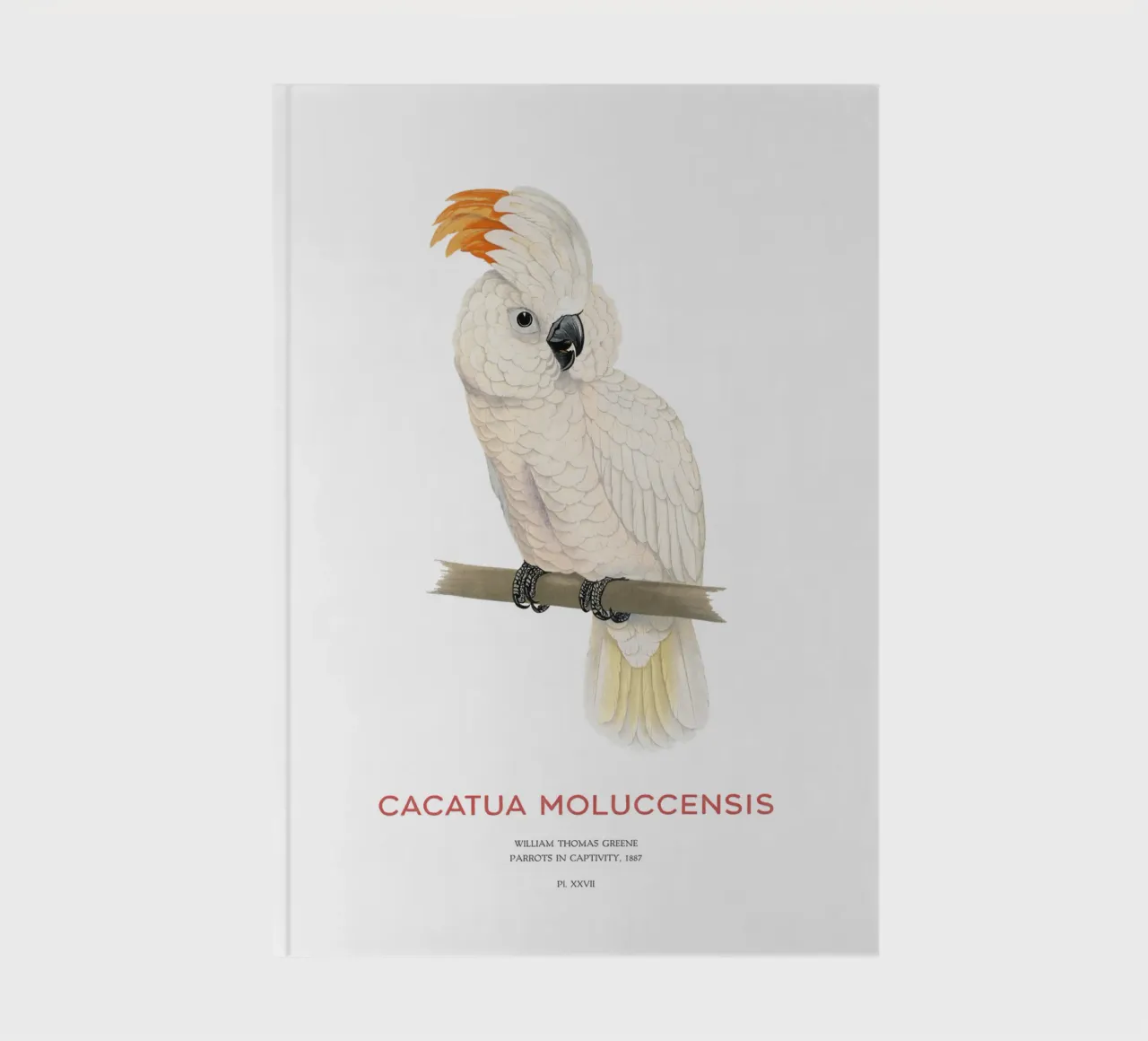 Moluccan cockatoo or Cacatua moluccensis notebook by Vintagrafica