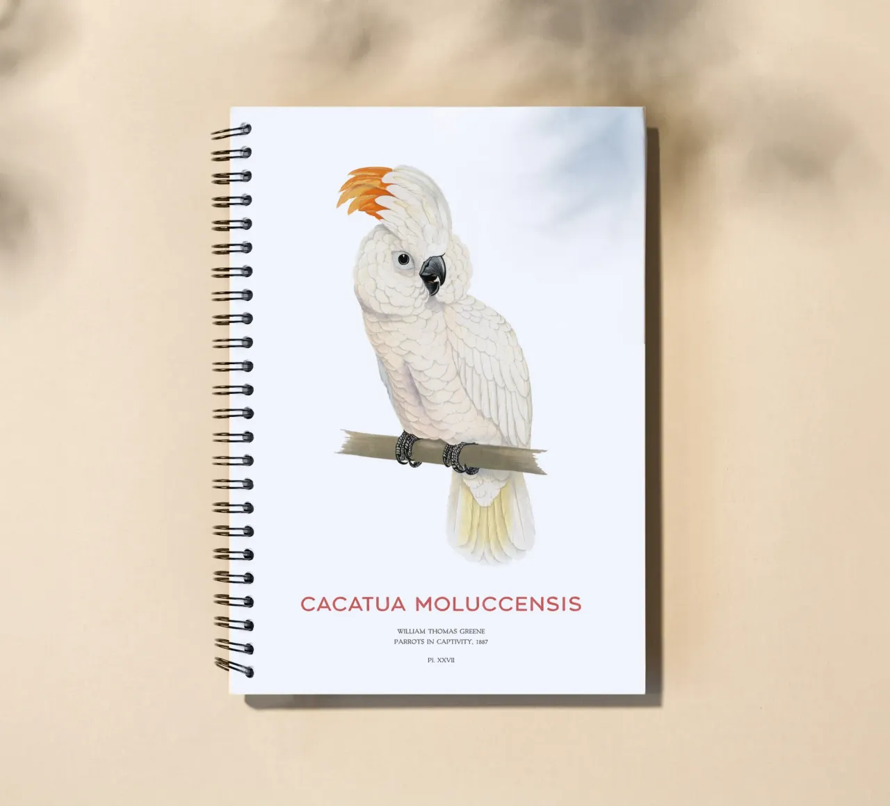 Molukkenkakadu oder Cacatua moluccensis Ringbuch von Vintagrafica