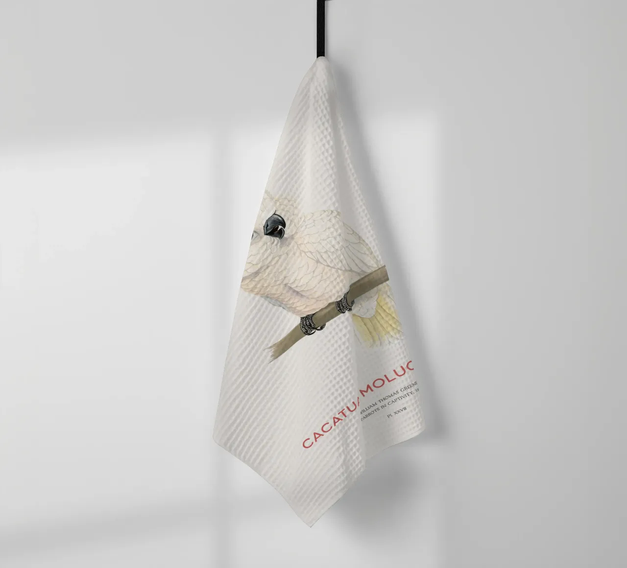 Moluccan cockatoo or Cacatua moluccensis canovaccio da cucina da Vintagrafica