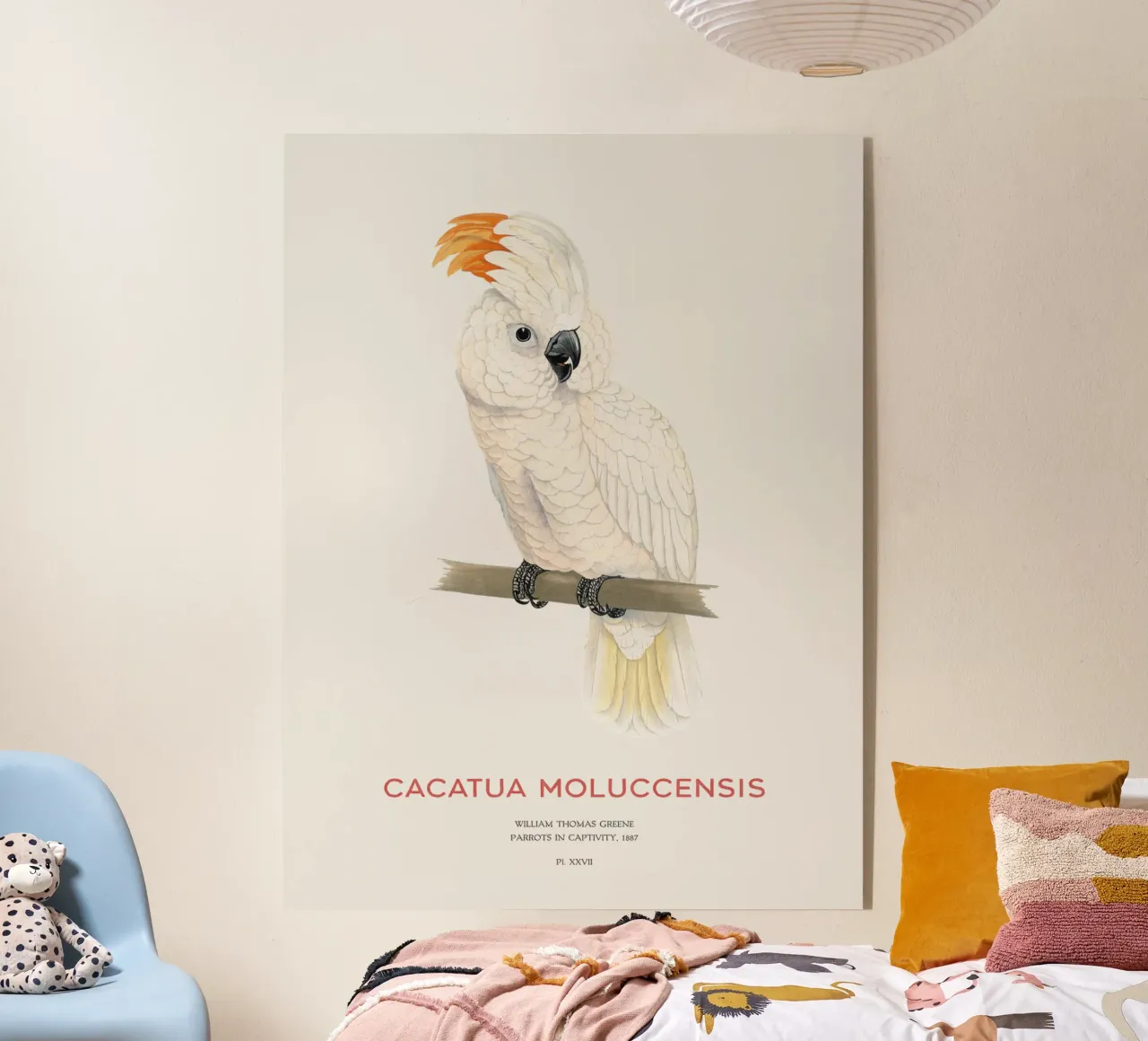 Cacatúa moluca o Cacatua moluccensis metacrilato de Vintagrafica