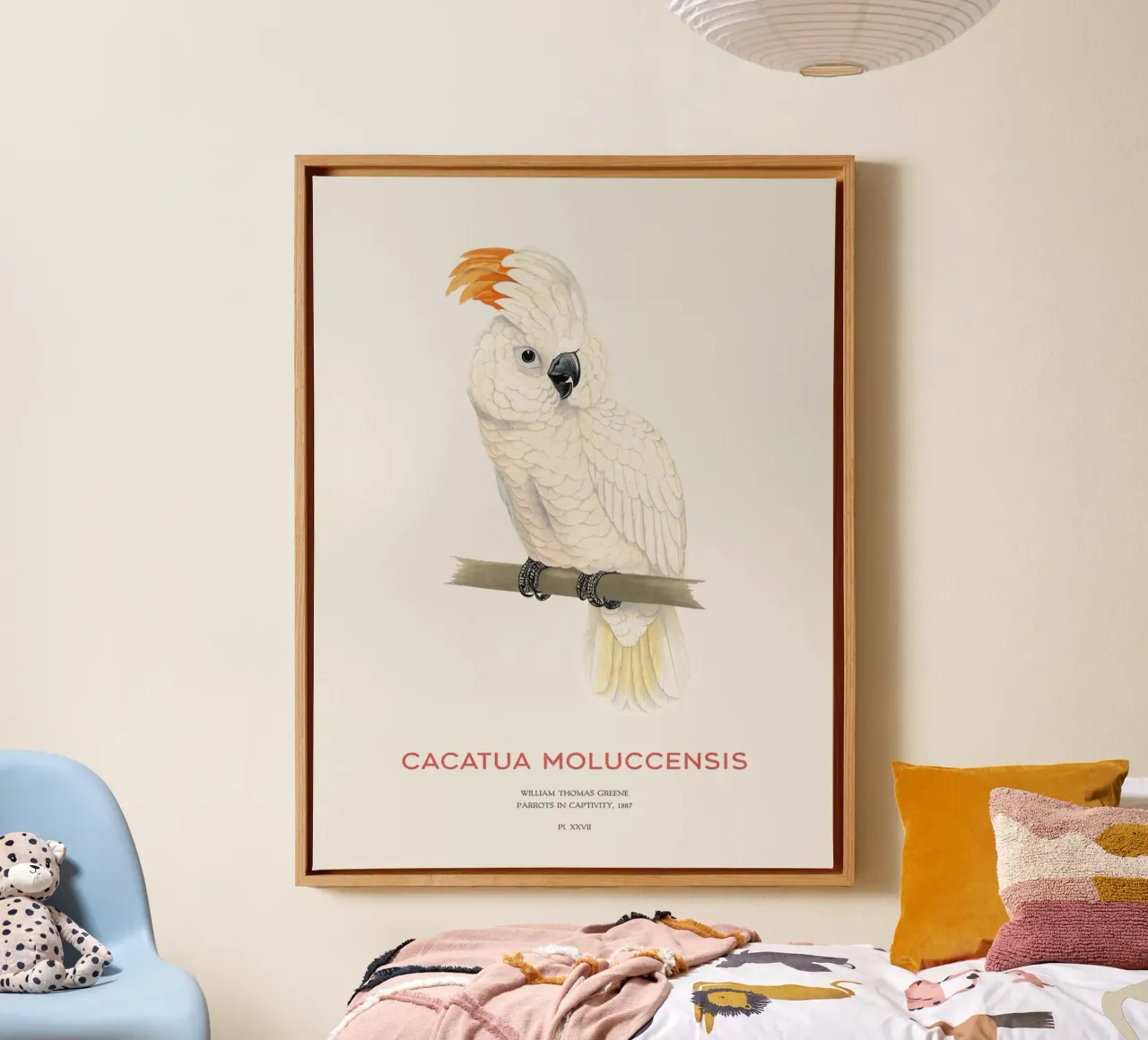 Molukkenkakadu oder Cacatua moluccensis Leinwand von Vintagrafica