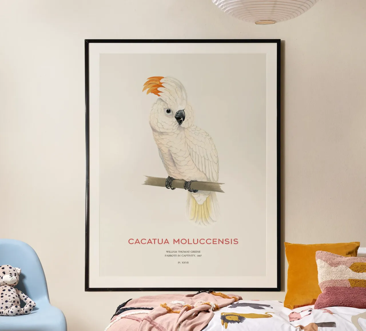 Moluccan cockatoo or Cacatua moluccensis carta hahnemühle da Vintagrafica