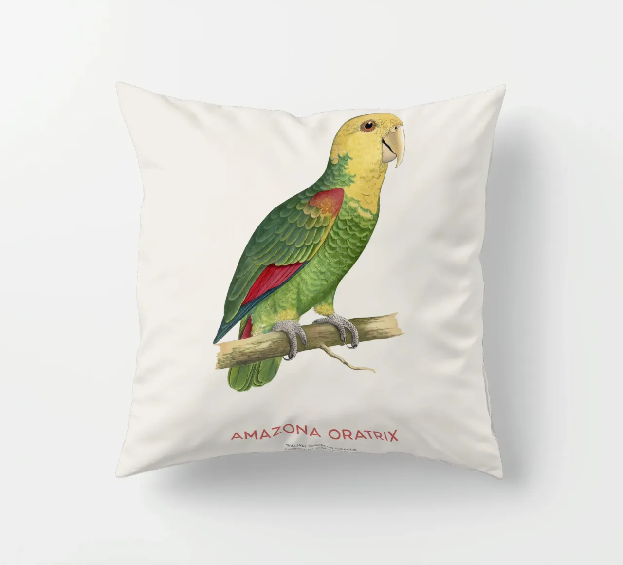 Pappagallo dalla testa gialla o Amazona oratrix cuscino da Vintagrafica
