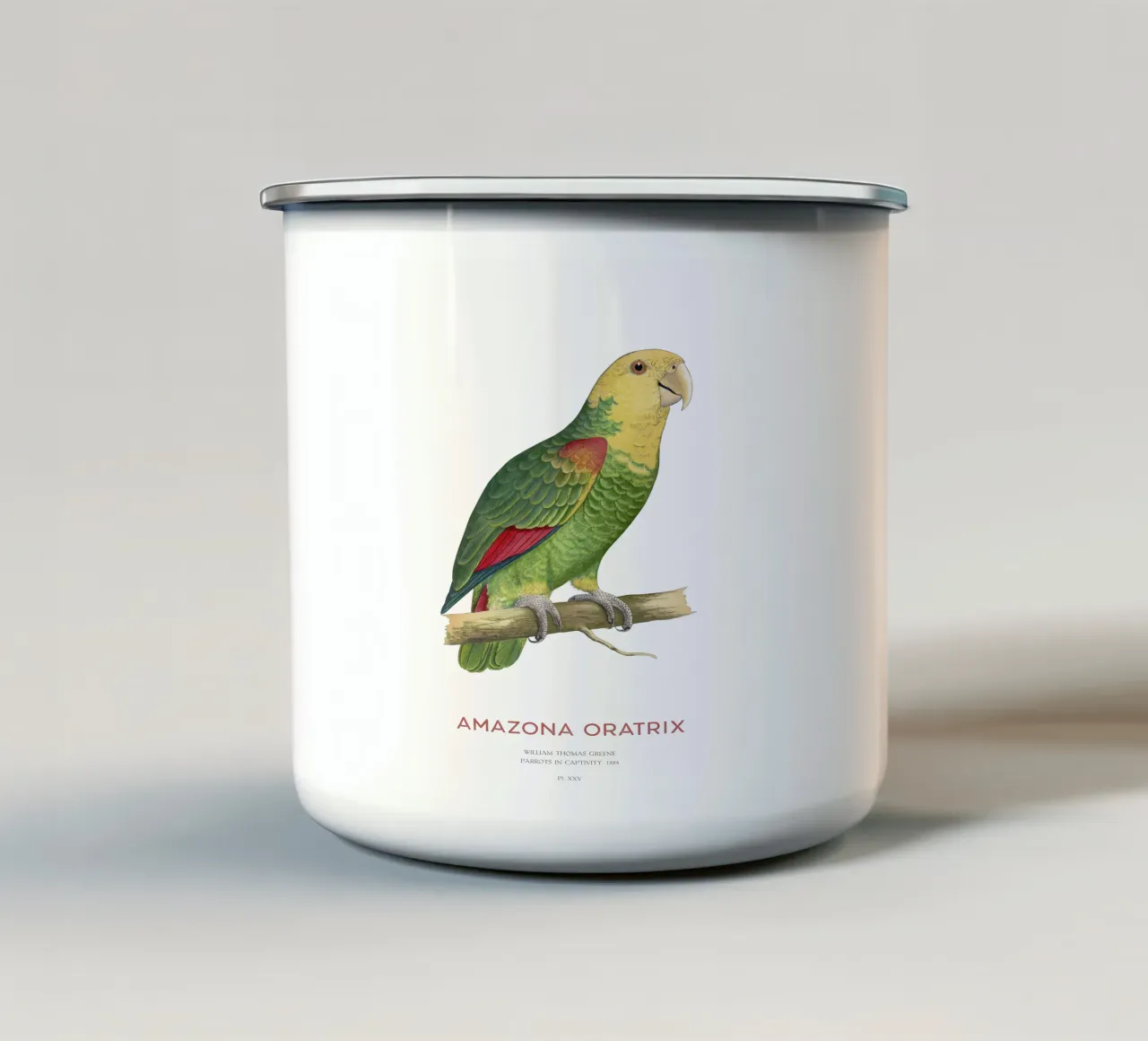 Pappagallo dalla testa gialla o Amazona oratrix tazza in smalto da Vintagrafica