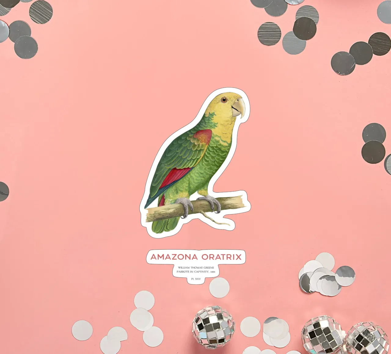 Gelbkopfpapagei oder Amazona oratrix Sticker von Vintagrafica