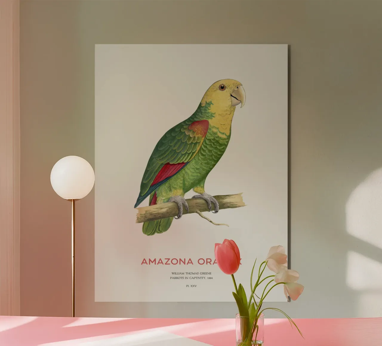 Pappagallo dalla testa gialla o Amazona oratrix alluminio dibond da Vintagrafica