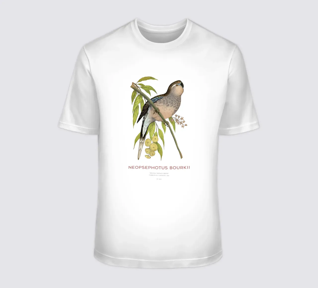 Pappagallo di Bourke o Neopsephotus bourkii t-shirt da Vintagrafica