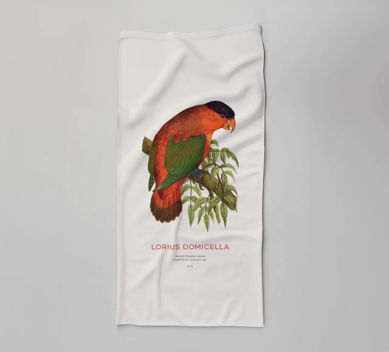 Lorius domicella oder Purpurnackenlori Handtuch von Vintagrafica