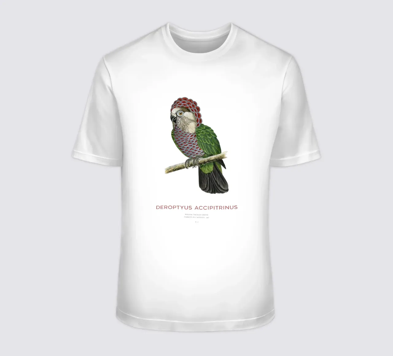 Rotfächerpapagei oder Deroptyus accipitrinus T-Shirt von Vintagrafica