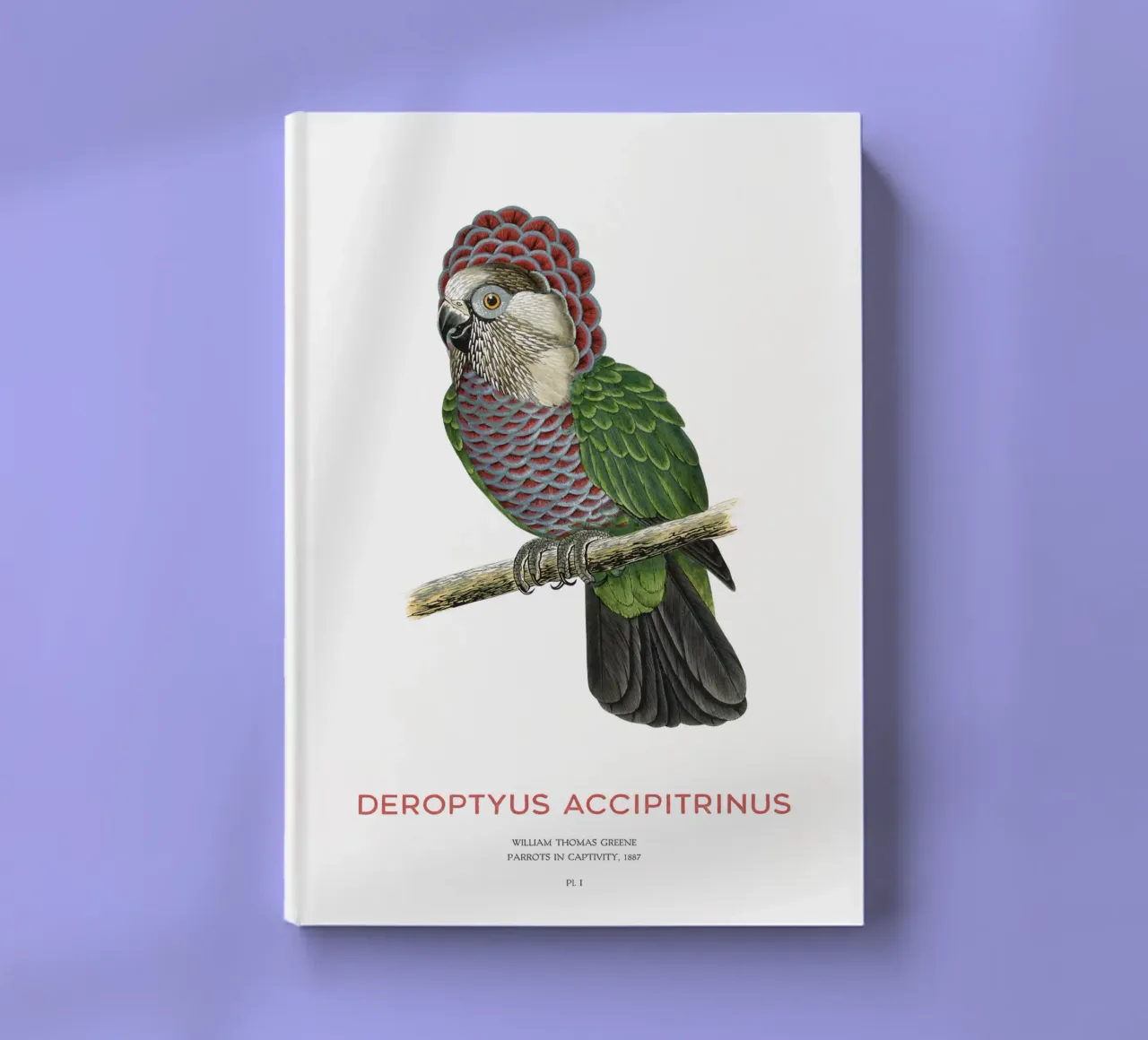 Red-fan parrot or Deroptyus accipitrinus notebook by Vintagrafica