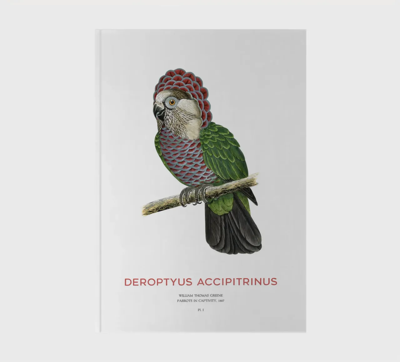 Red-fan parrot or Deroptyus accipitrinus notebook by Vintagrafica