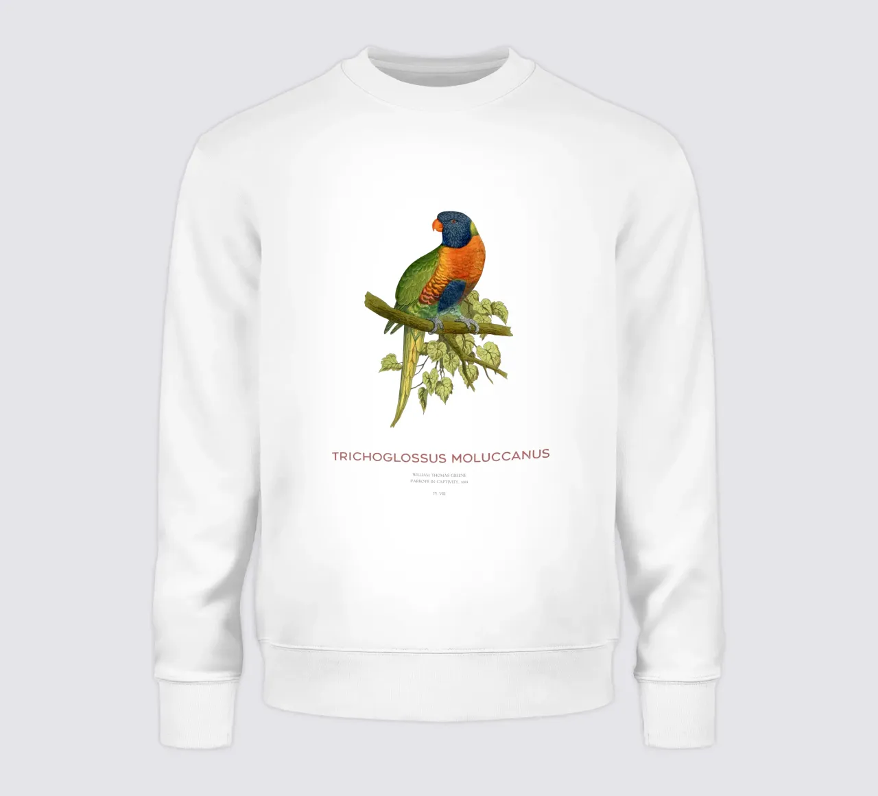 Lorichetto arcobaleno o Trichoglossus moluccanus felpa da Vintagrafica