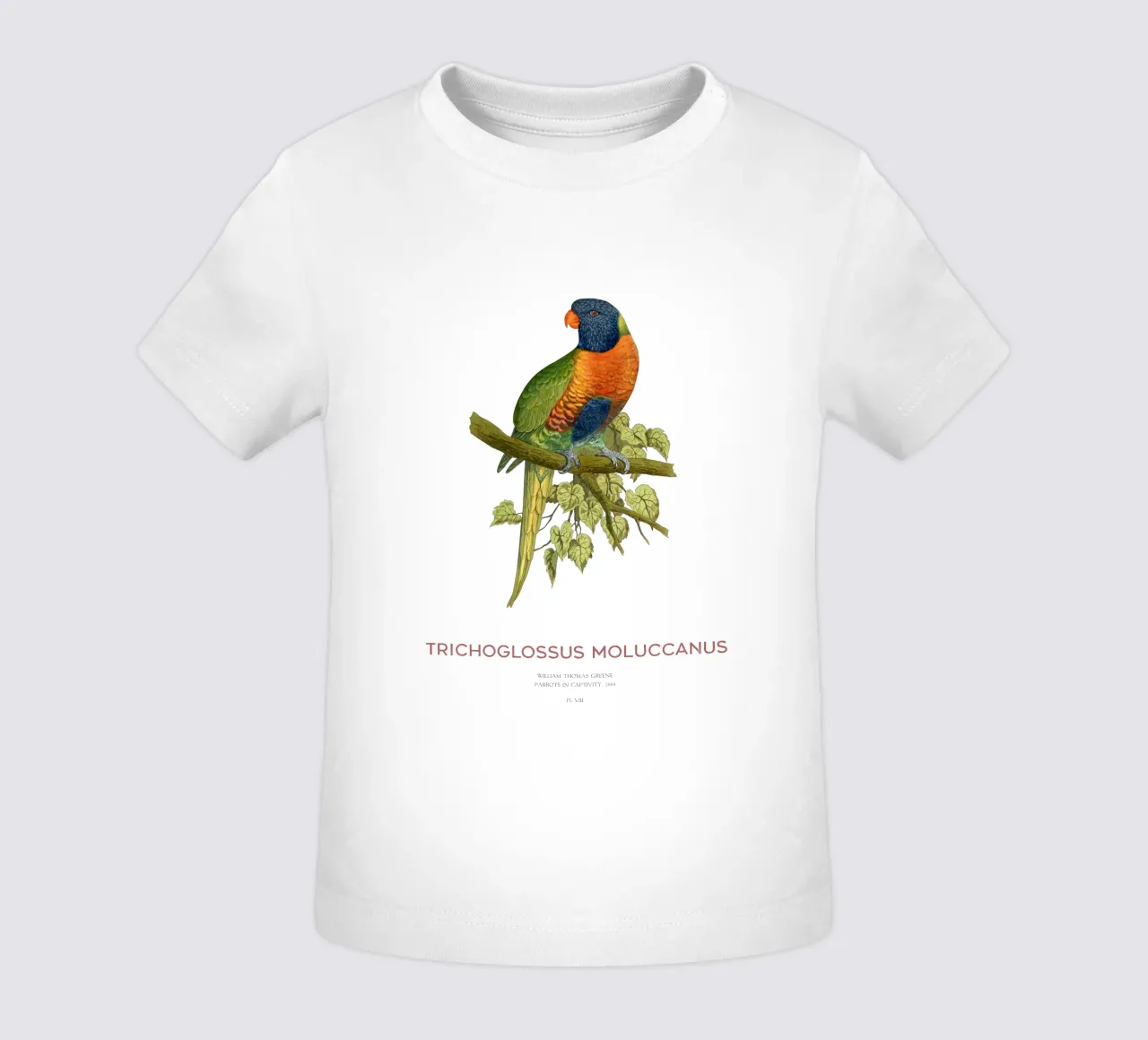 Lorichetto arcobaleno o Trichoglossus moluccanus maglietta neonato da Vintagrafica