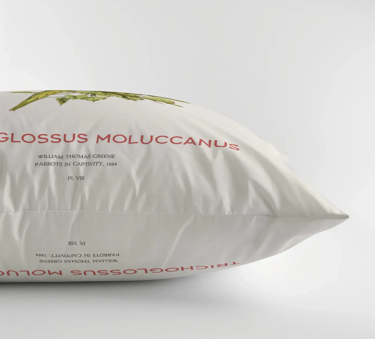 Lorichetto arcobaleno o Trichoglossus moluccanus cuscino da Vintagrafica