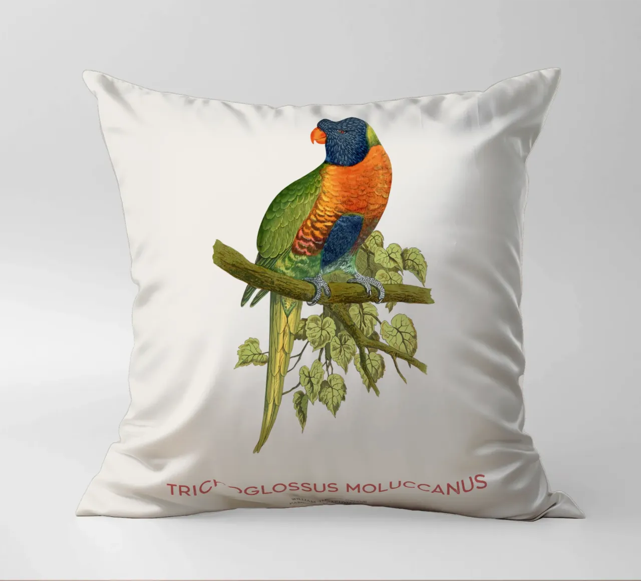 Lorichetto arcobaleno o Trichoglossus moluccanus cuscino da Vintagrafica