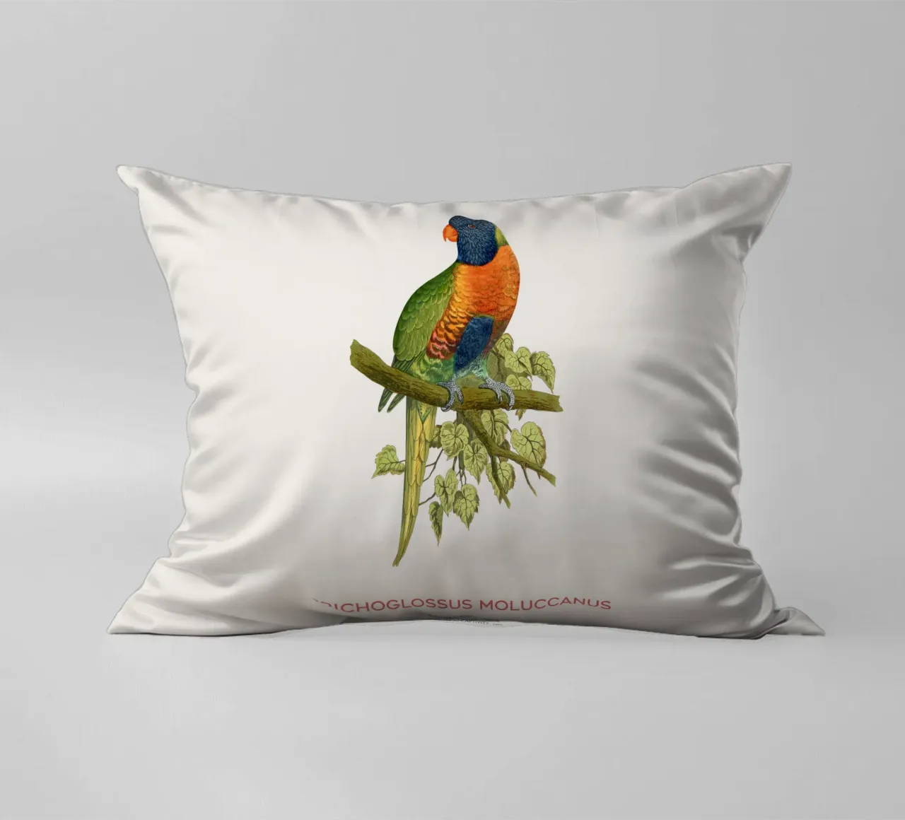 Lorichetto arcobaleno o Trichoglossus moluccanus cuscino da Vintagrafica