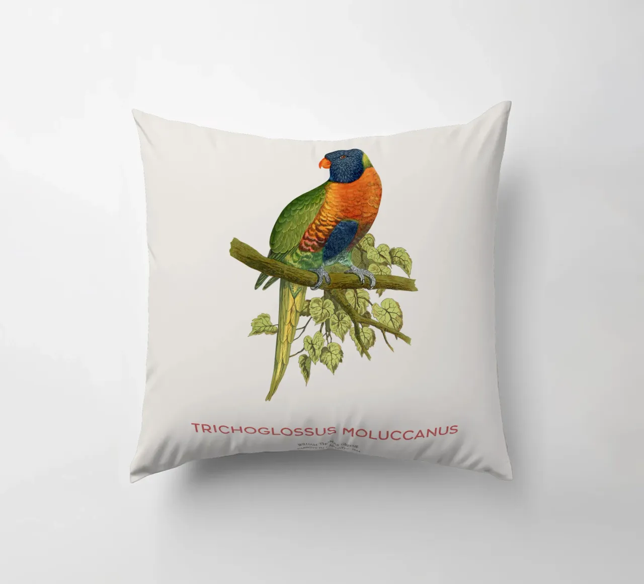 Lorichetto arcobaleno o Trichoglossus moluccanus cuscino da Vintagrafica