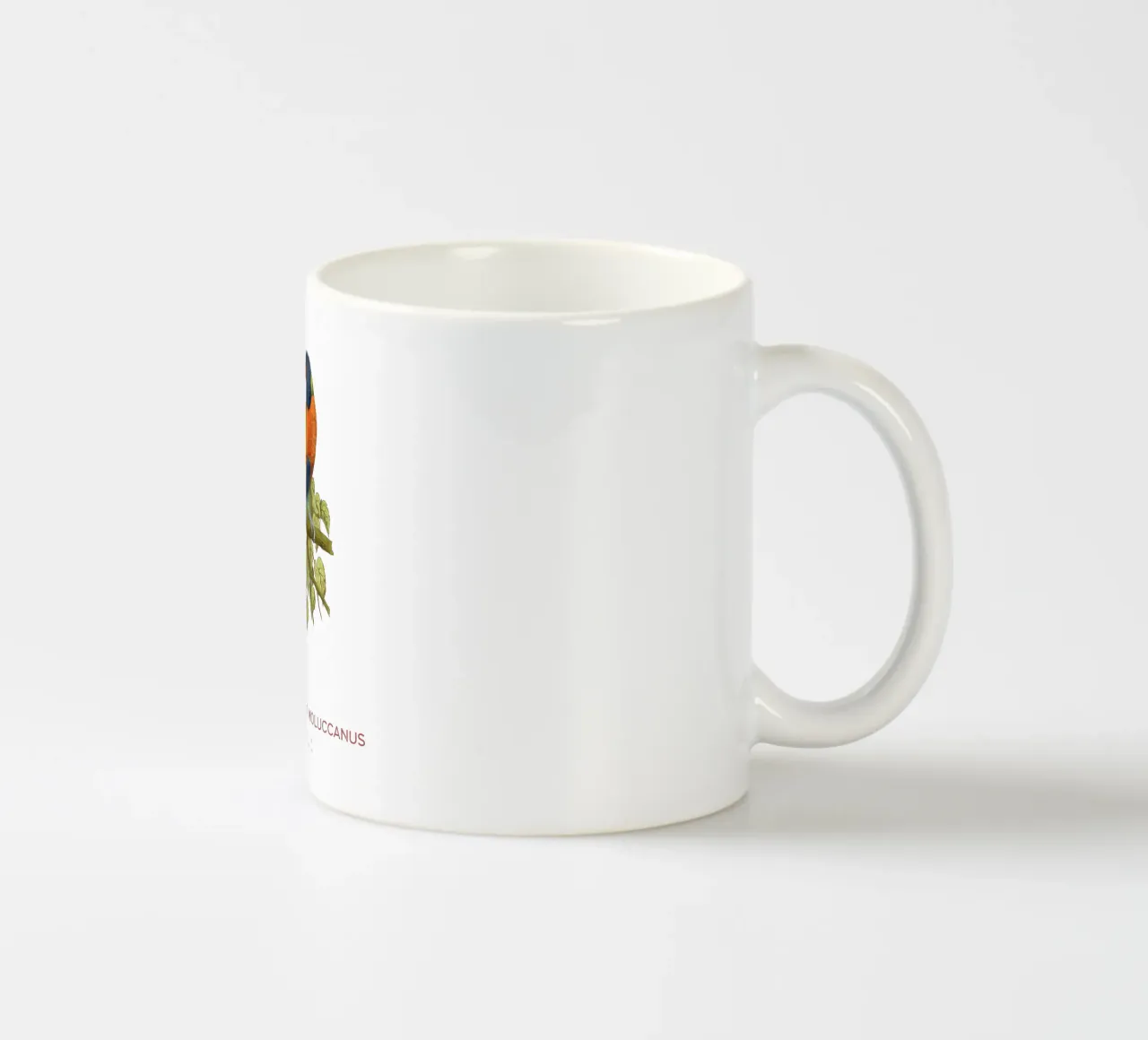 Lorichetto arcobaleno o Trichoglossus moluccanus tazza in ceramica da Vintagrafica