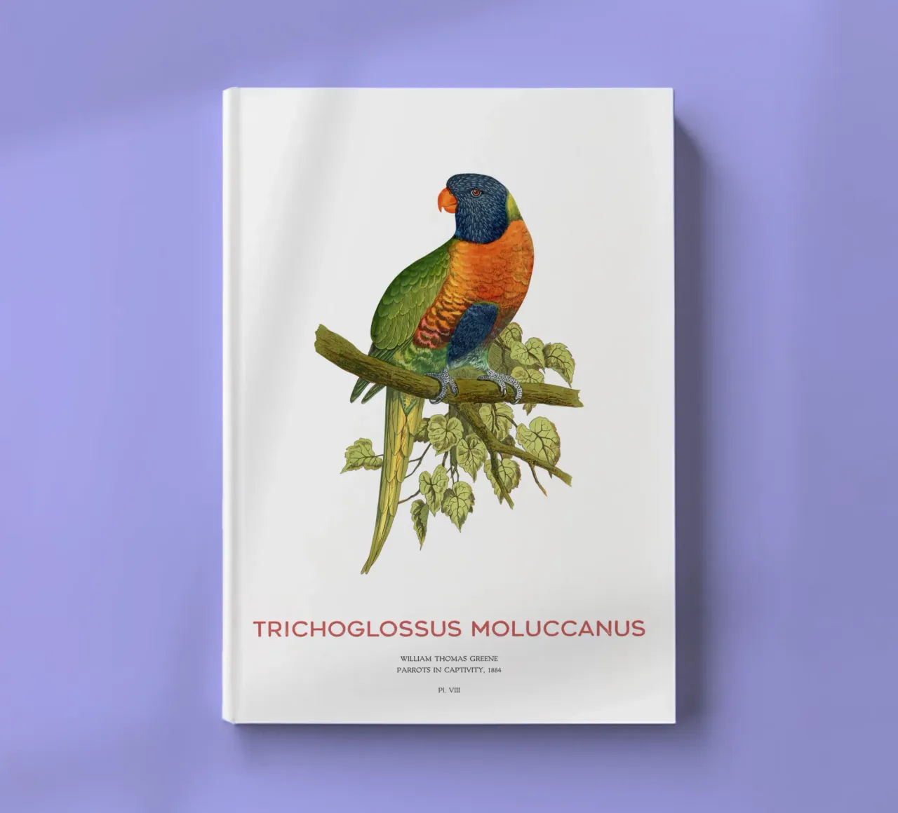 Rainbow lorikeet or Trichoglossus moluccanus notebook by Vintagrafica