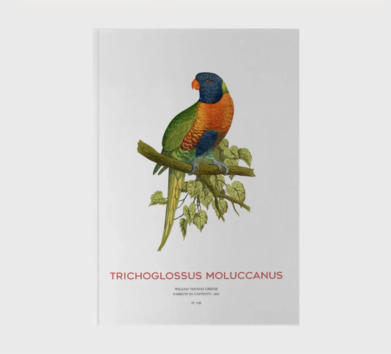 Rainbow lorikeet or Trichoglossus moluccanus notebook by Vintagrafica