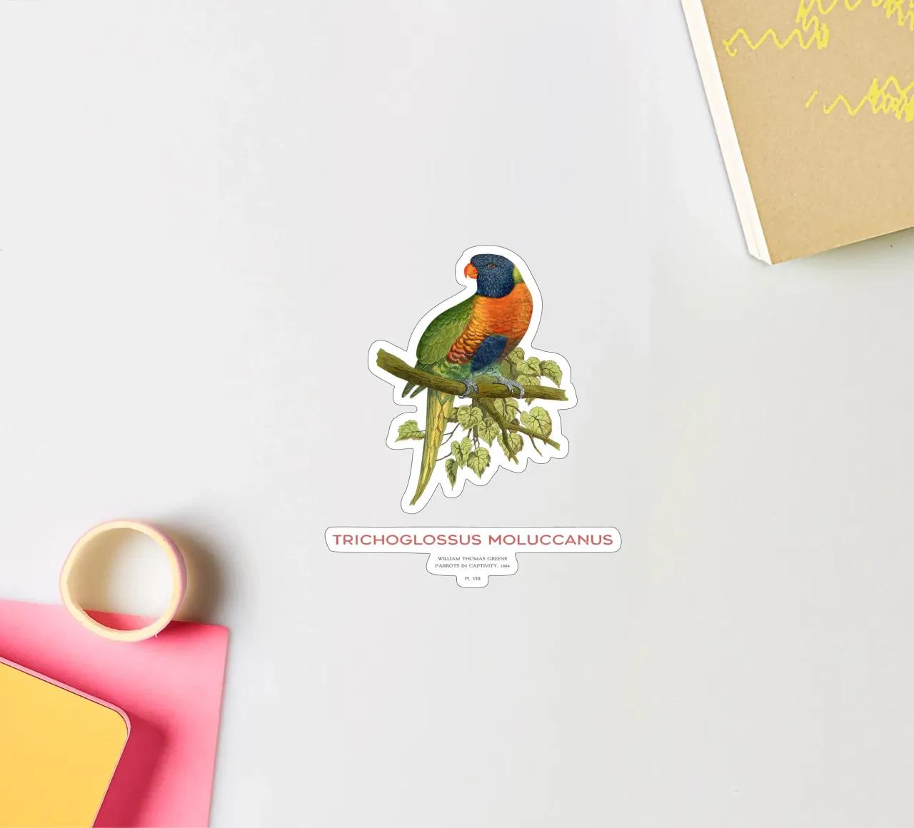 Regenbogenlori oder Trichoglossus moluccanus Sticker von Vintagrafica