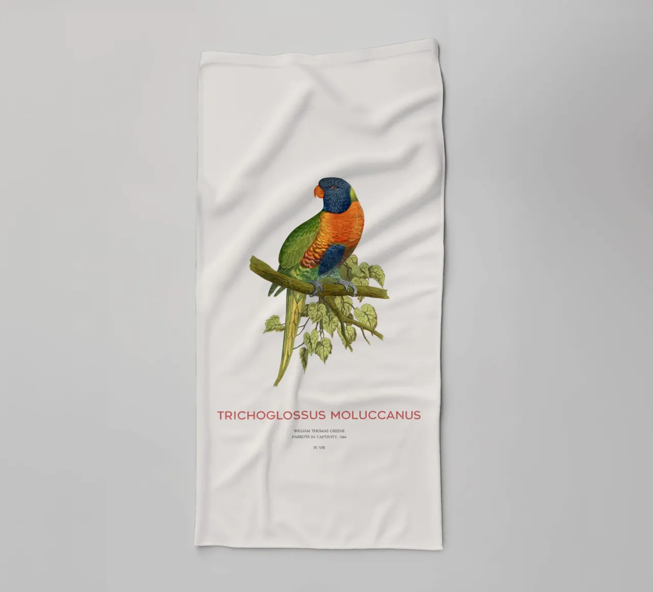 Lorichetto arcobaleno o Trichoglossus moluccanus asciugamano da bagno da Vintagrafica