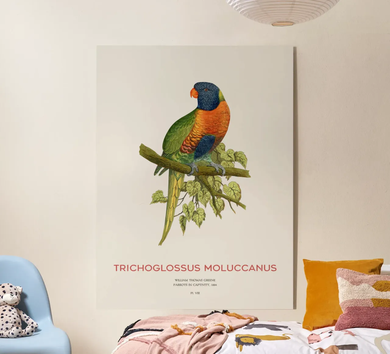Lorichetto arcobaleno o Trichoglossus moluccanus plexiglass da Vintagrafica