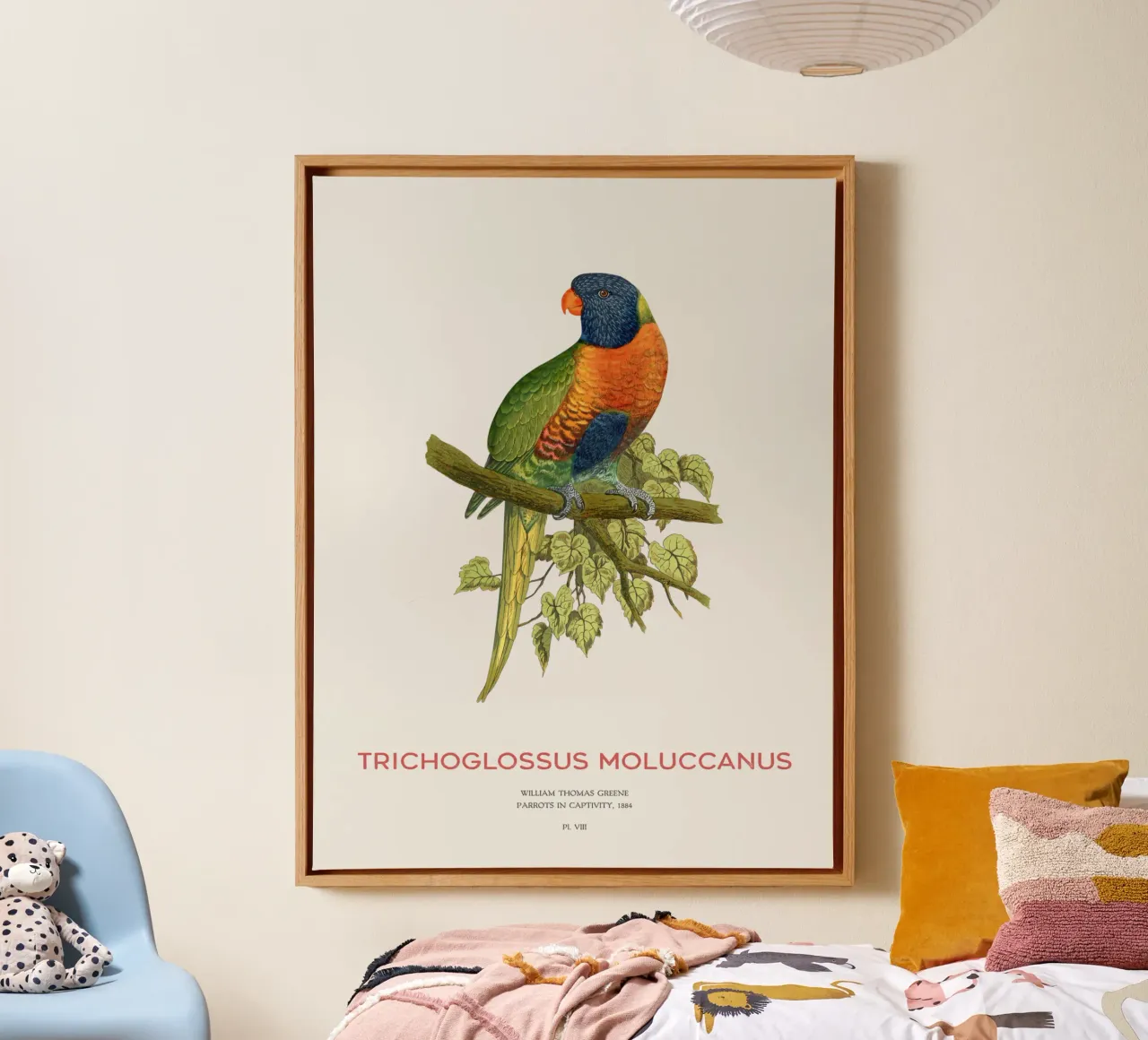 Regenbogenlori oder Trichoglossus moluccanus Leinwand mit Schattenfugenrahmen von Vintagrafica