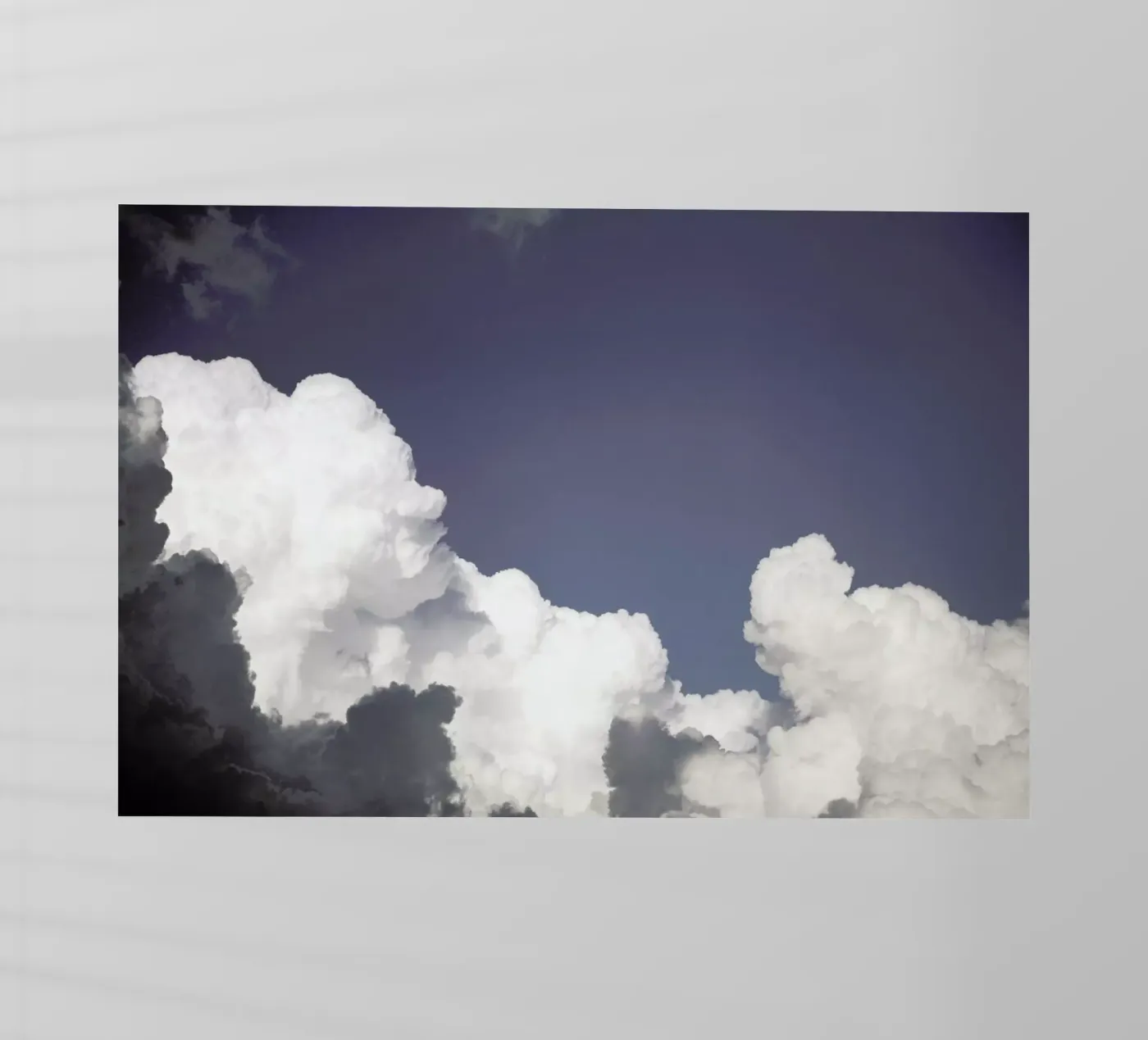 Loteni pellicola backlit da Shot By Clint