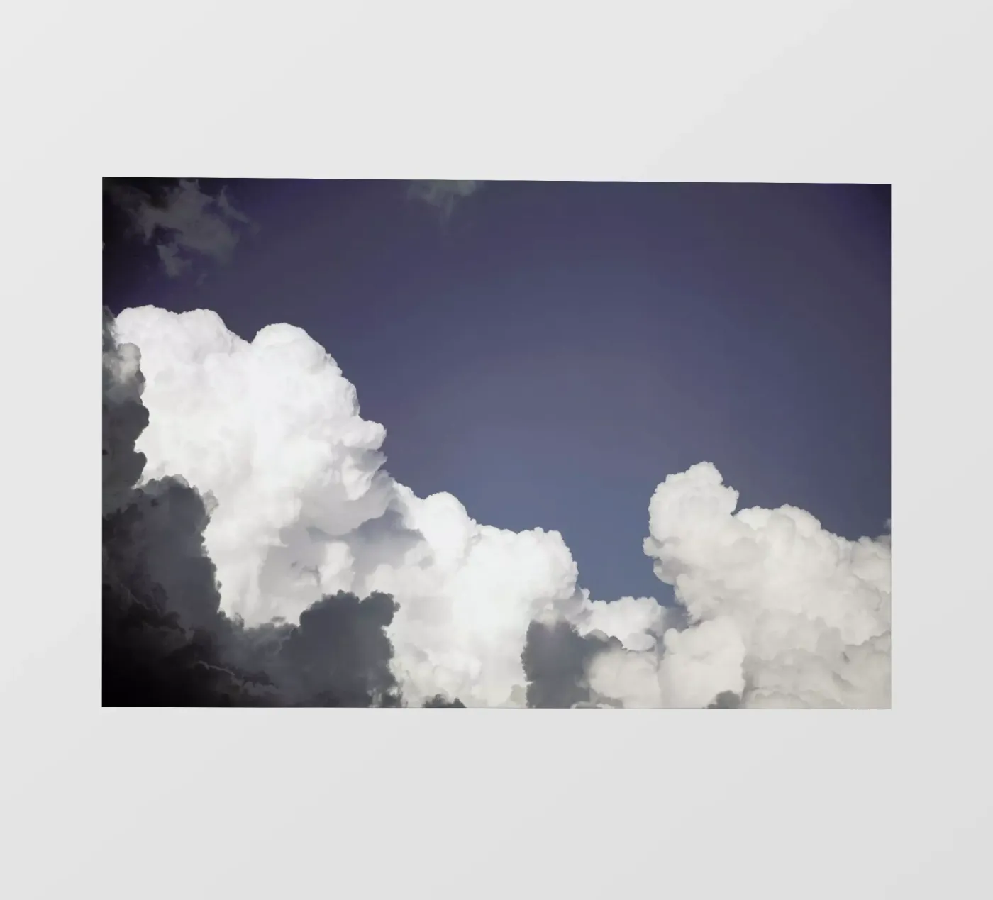 Loteni pellicola backlit da Shot By Clint