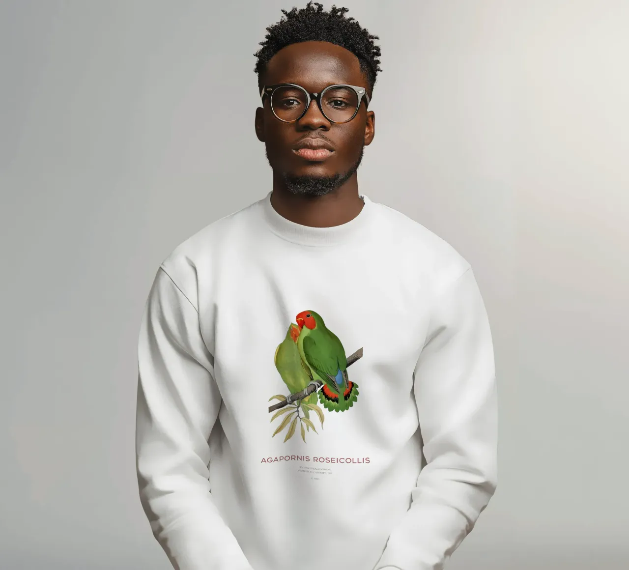 Rosenköpfiger Unzertrennlicher oder Agapornis roseicollis Sweatshirt von Vintagrafica
