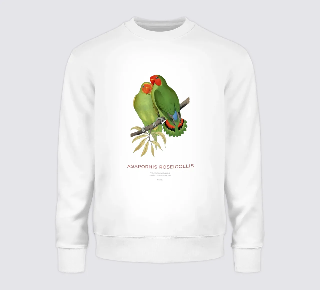 Rosenköpfiger Unzertrennlicher oder Agapornis roseicollis Sweatshirt von Vintagrafica