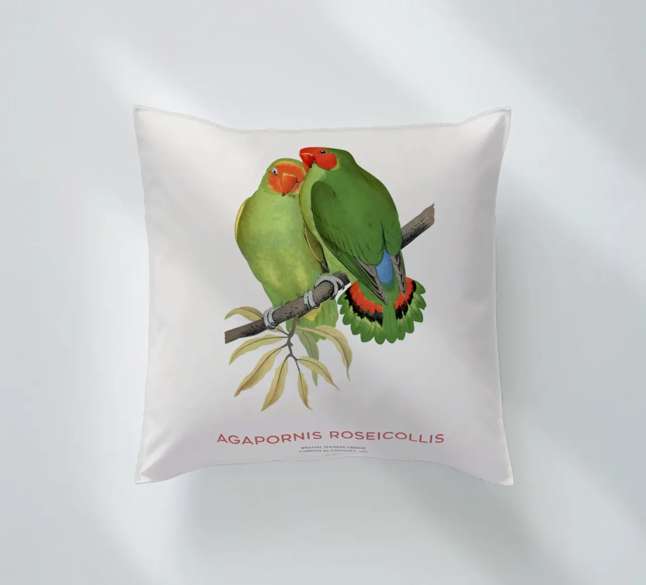 Inseparabile roseo o Agapornis roseicollis cuscino da Vintagrafica