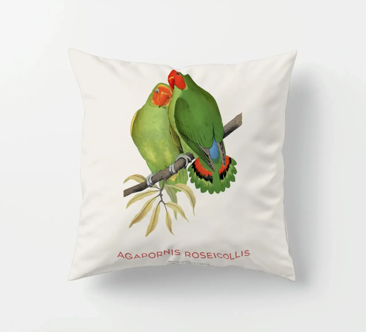 Inseparabile roseo o Agapornis roseicollis cuscino da Vintagrafica