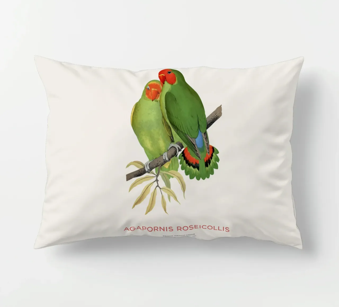 Inseparabile roseo o Agapornis roseicollis cuscino da Vintagrafica